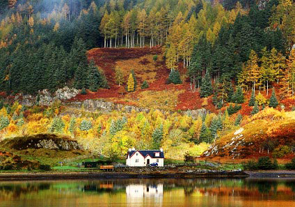 Holiday home in an autumn scene by a lake