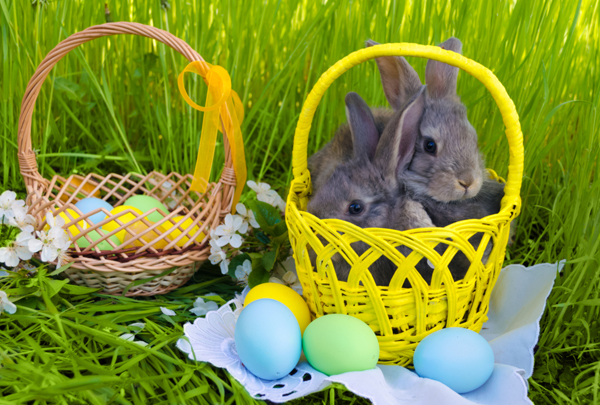 Easter bunnies and eggs in baskets